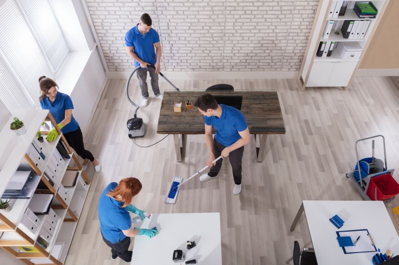 Local Cleaning Experts